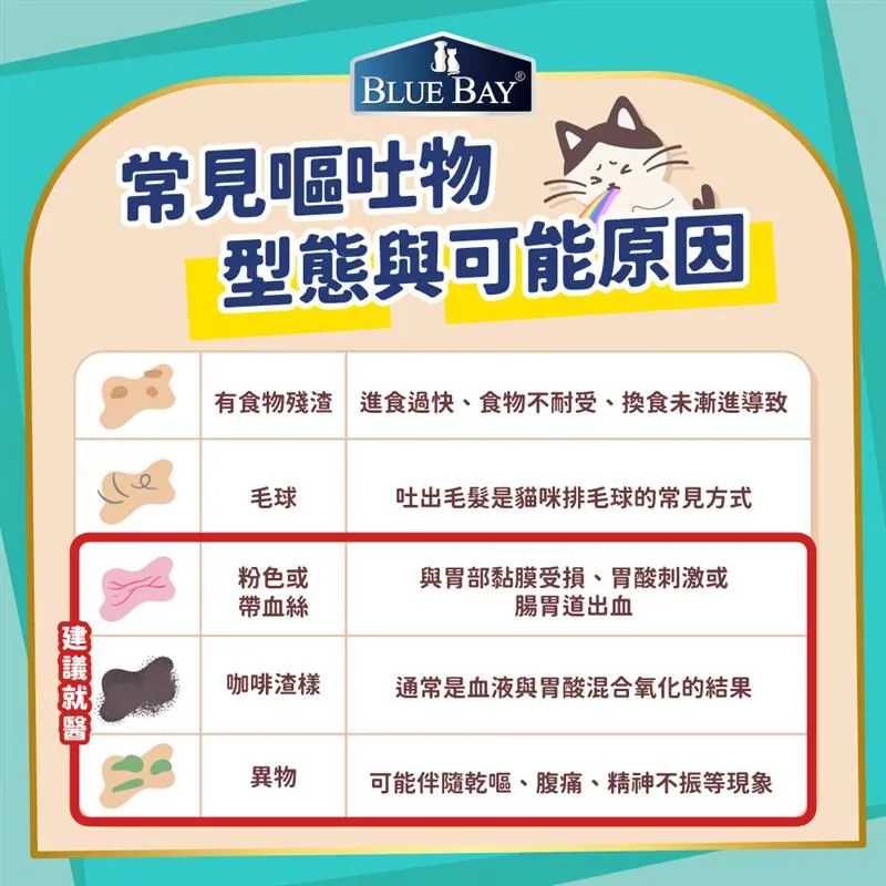 貓咪嘔吐有食物殘渣、毛球、粉色或帶血絲、咖啡渣樣、異物等等,有些需要留意就醫
