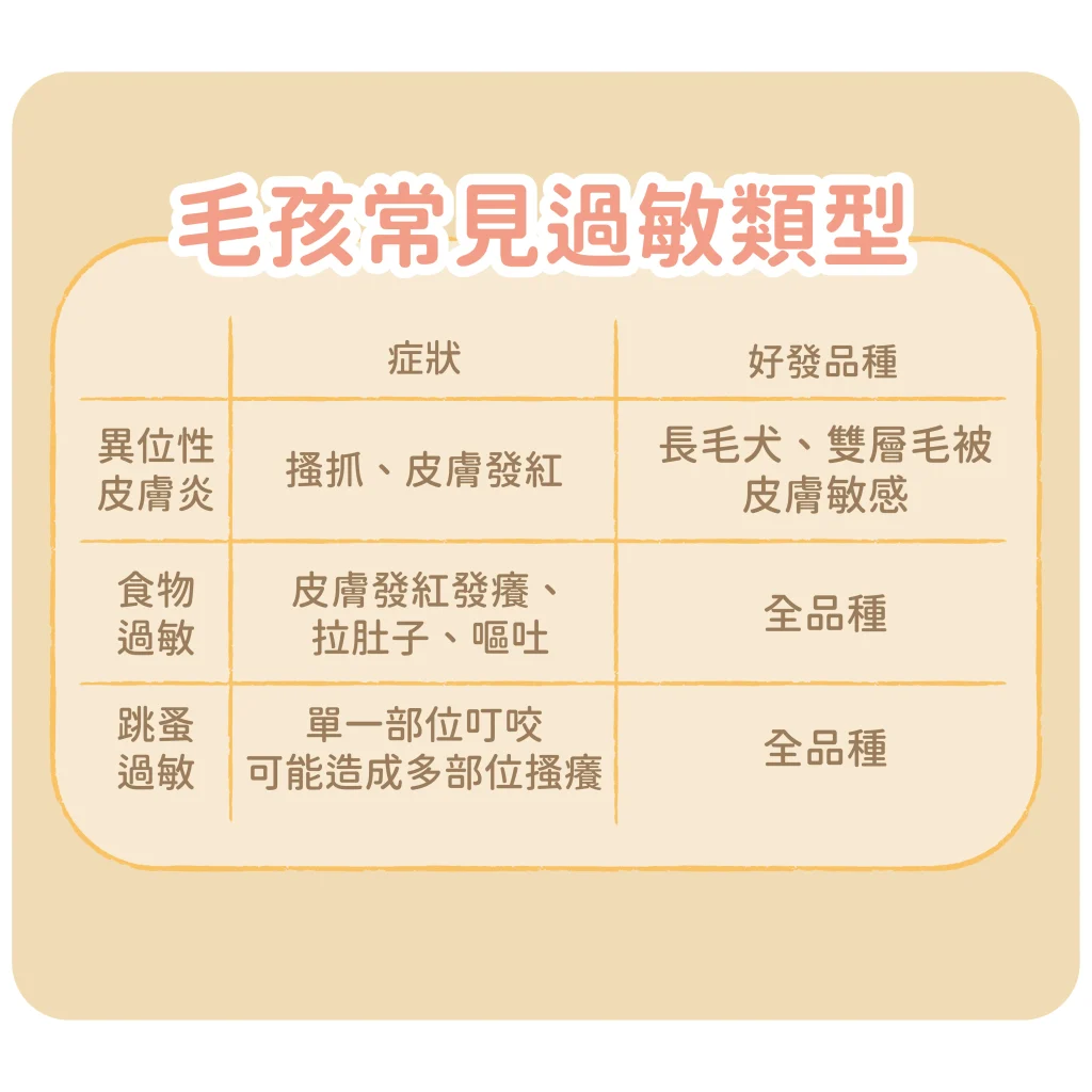 【一起看看三大過敏類別】