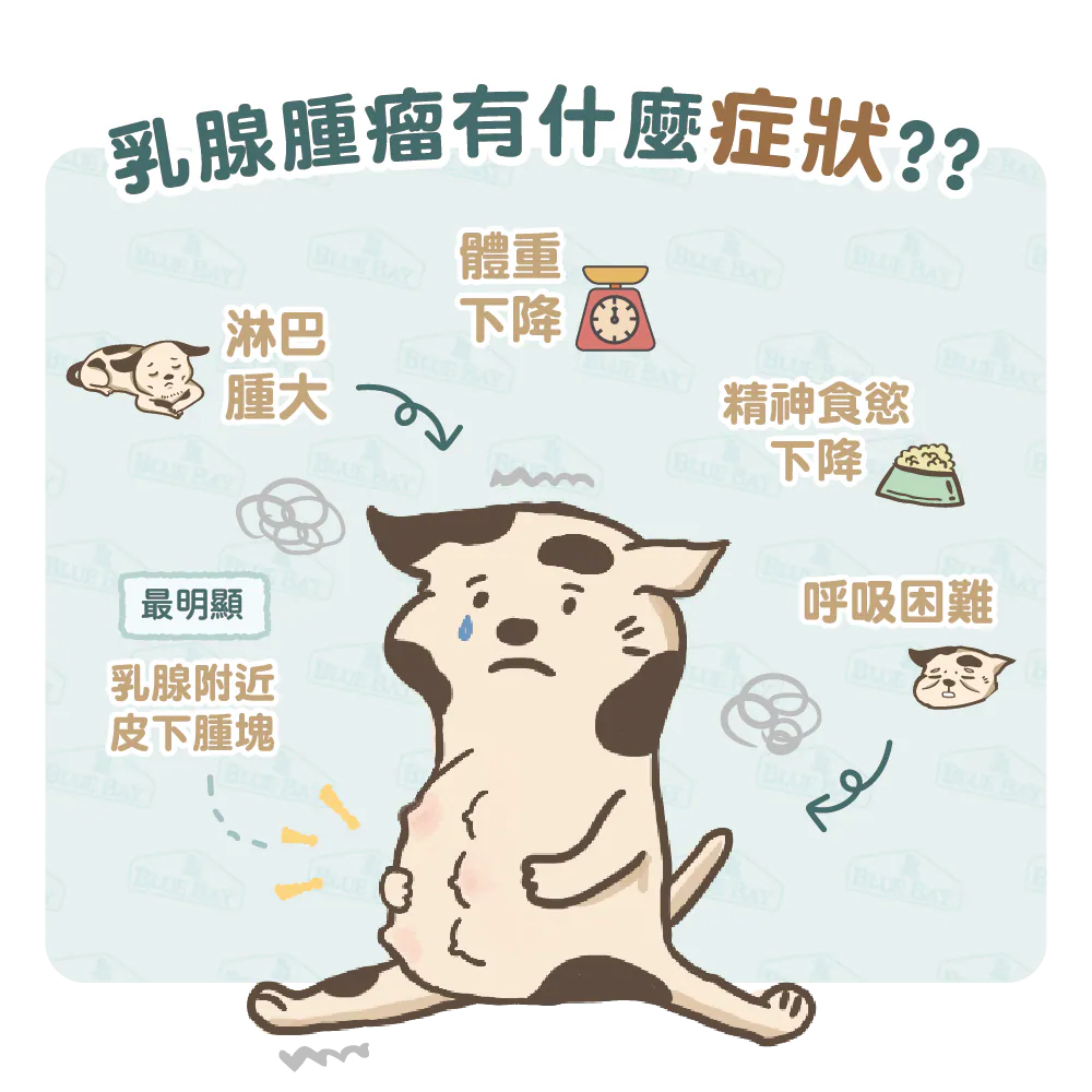 【乳腺腫瘤的症狀】