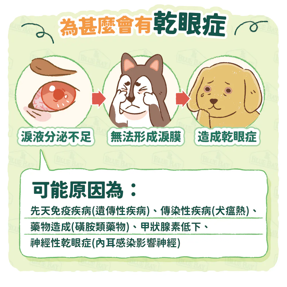 【為什麼會有乾眼症】