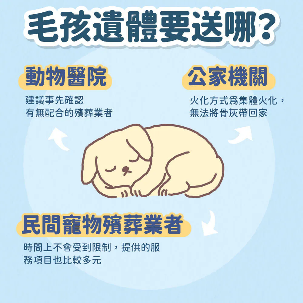 【毛孩遺體要送去哪?】