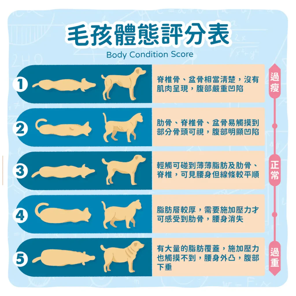 【毛孩體態評估表 BCS】