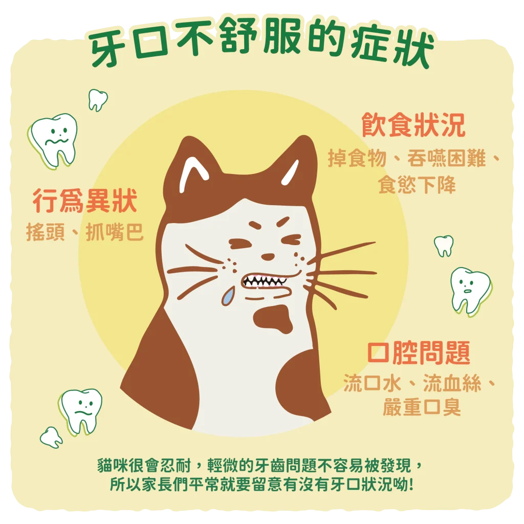 【牙口不舒服的症狀】