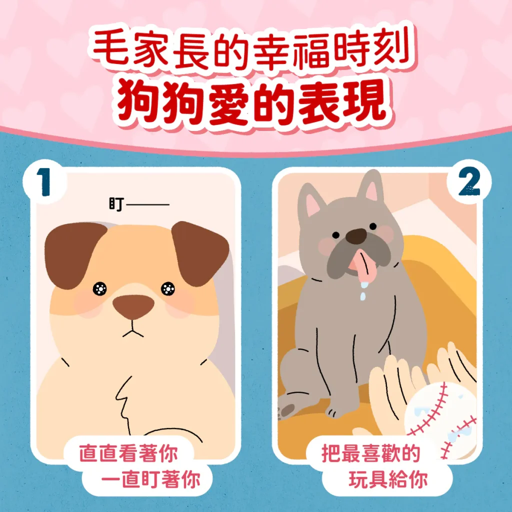 【狗狗六大愛的表現】