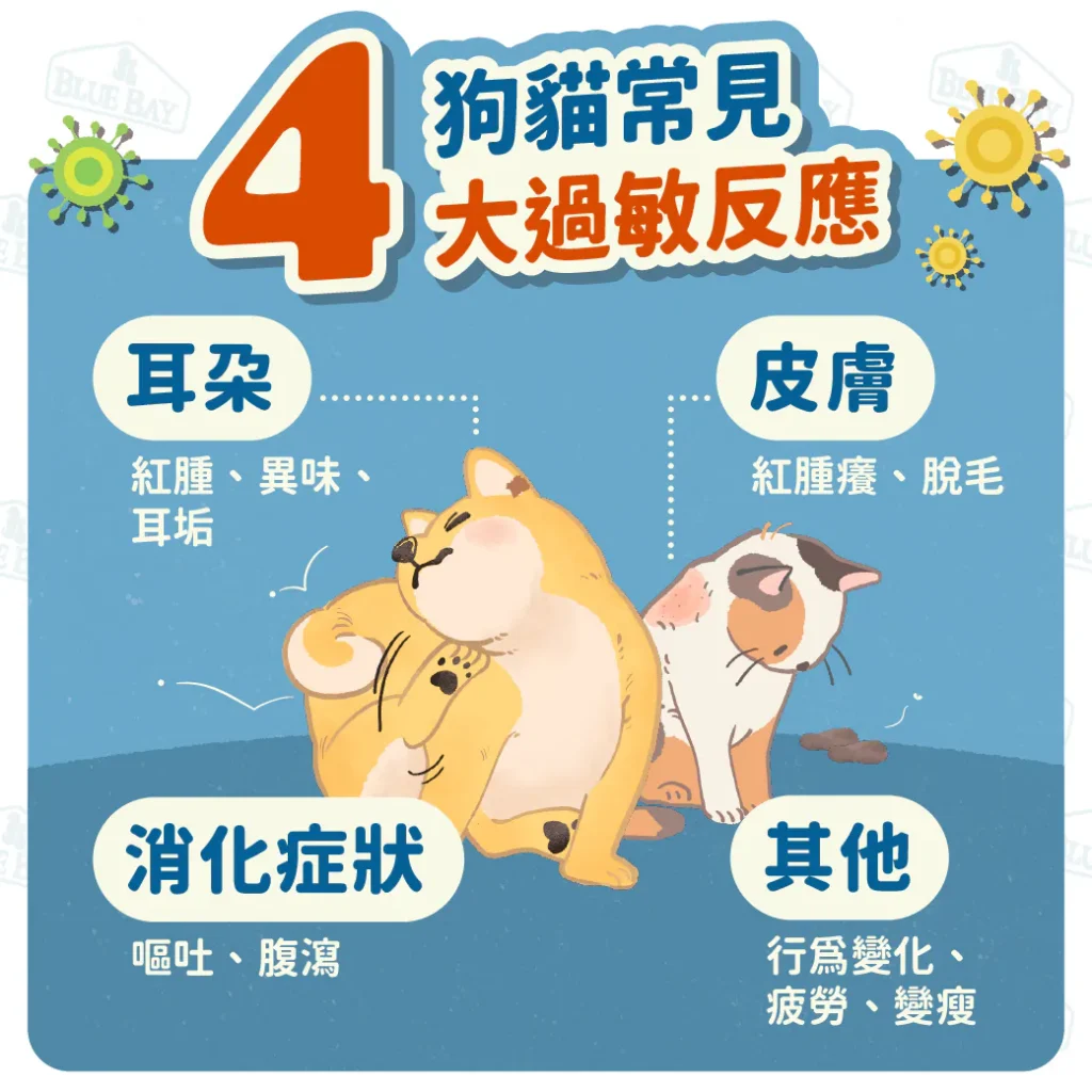 【狗狗貓貓的過敏反應】