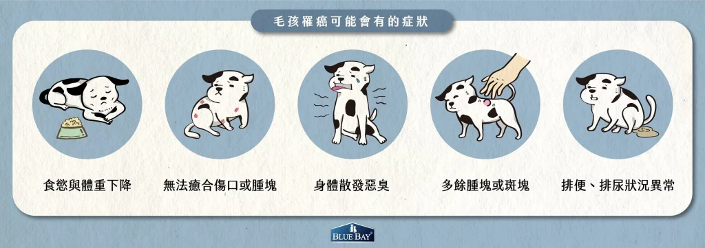 【癌症可能會有的症狀】