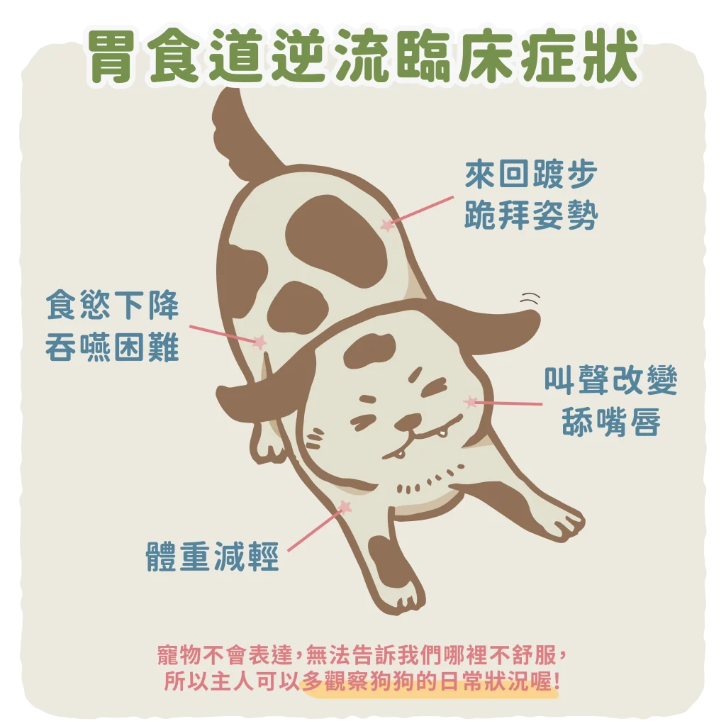 【胃食道逆流的診斷方式】
