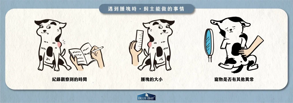 【腫塊就是癌症嗎？飼主與獸醫能做的事情】