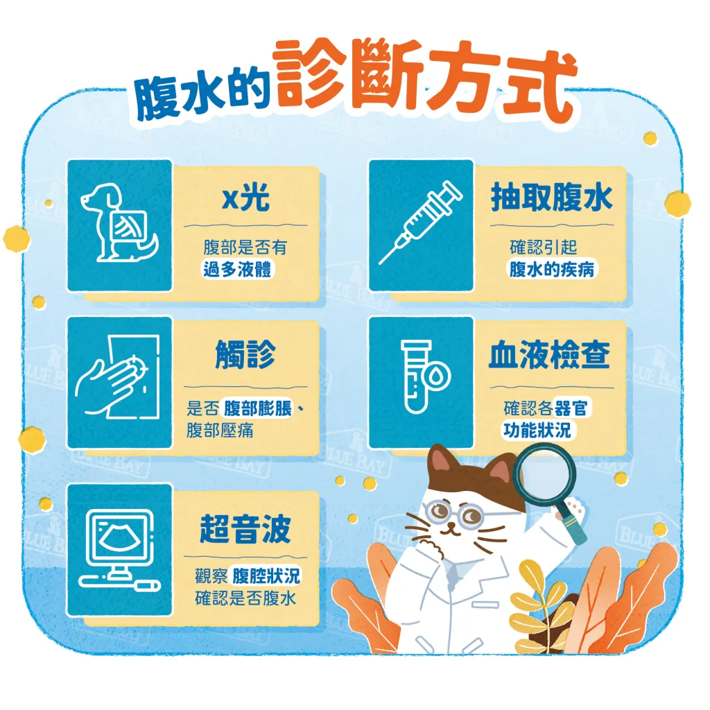 【腹水的診斷】