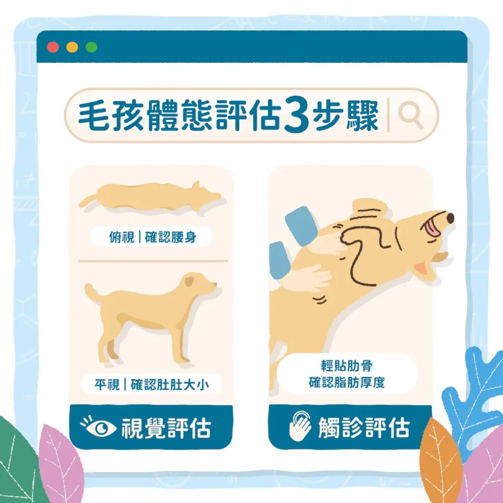 【評分方式】