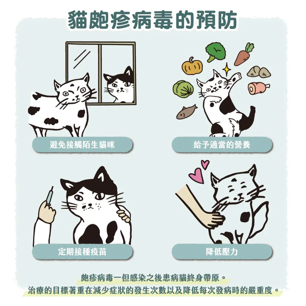 【貓皰疹病毒預防】
