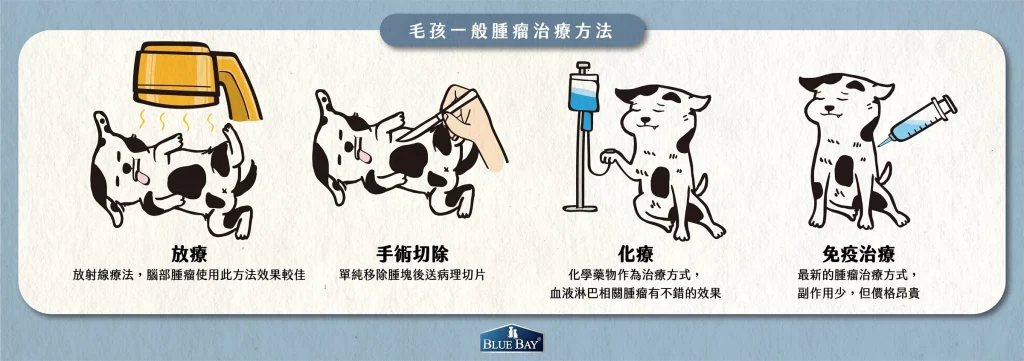 毛孩一般腫瘤的治療方式