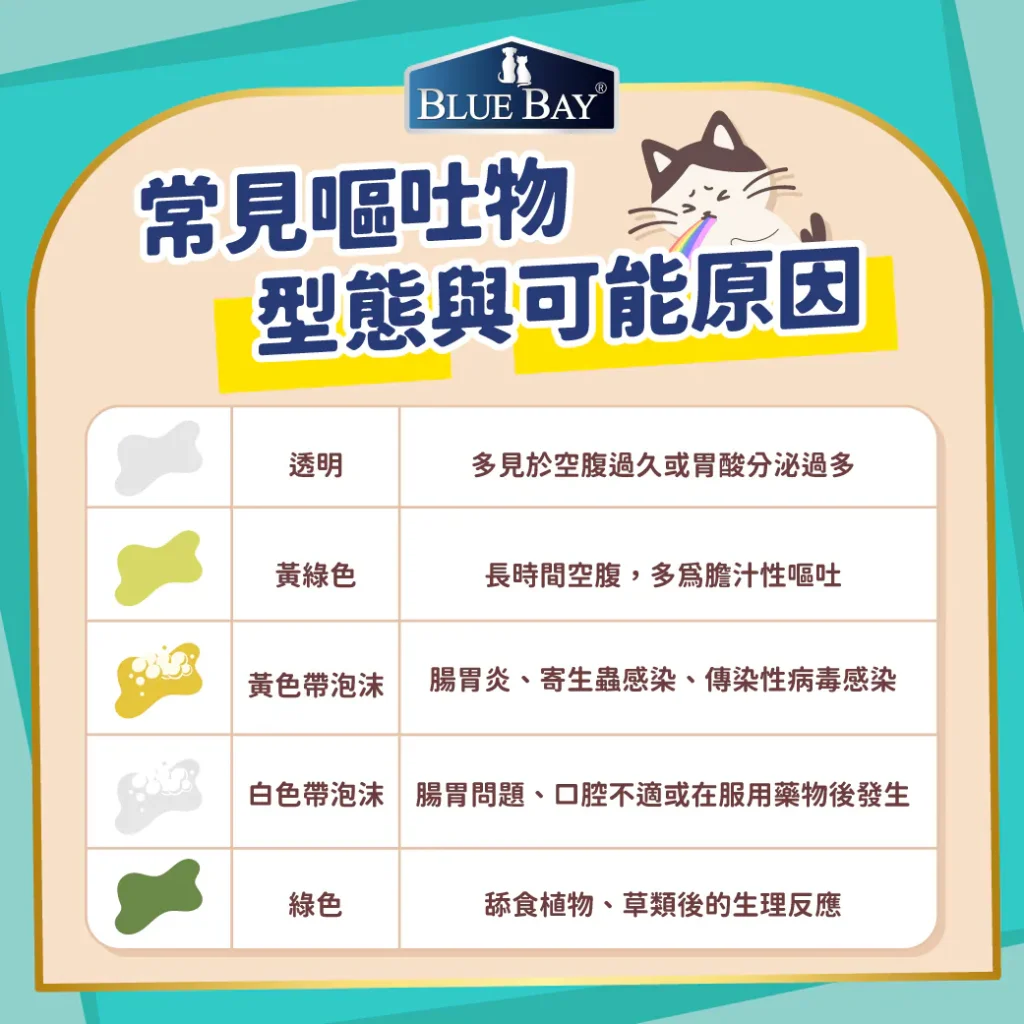 【如何判斷貓咪嘔吐狀況？需不需要就醫？】