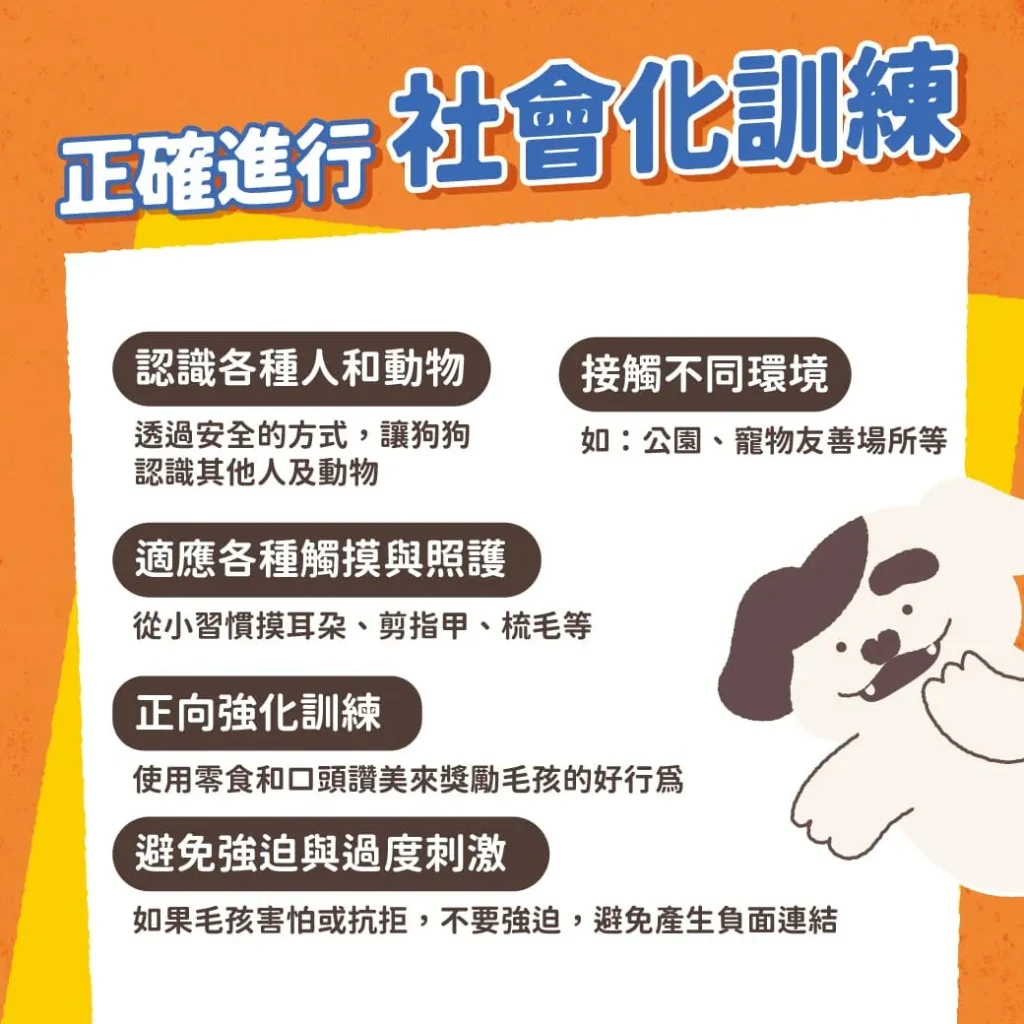 如何正確進行社會化訓練