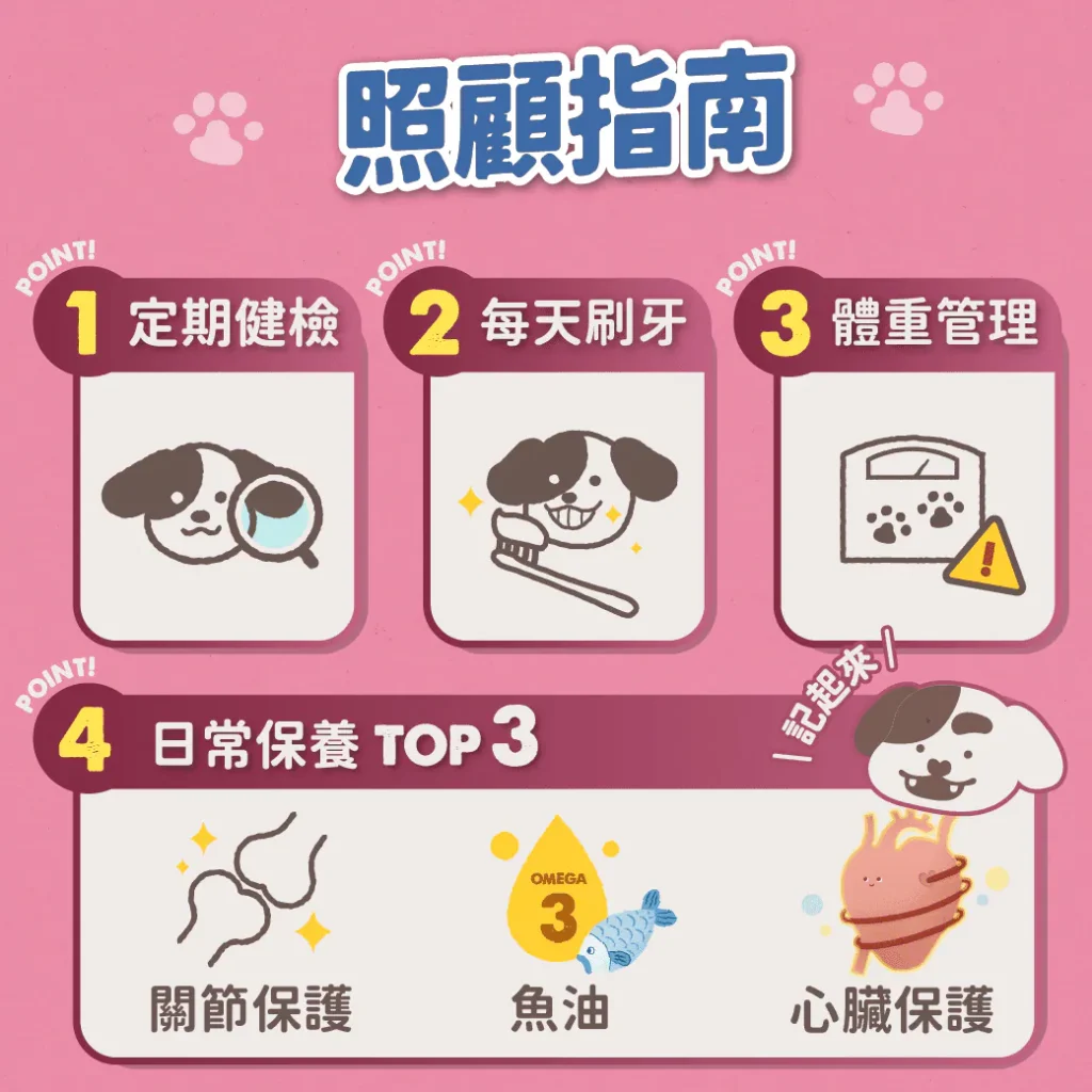 小型犬照顧指南