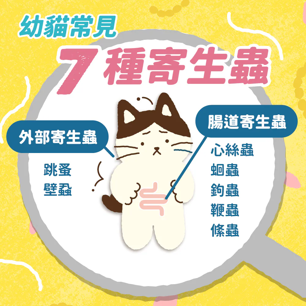 常見的寄生蟲種類與感染原因