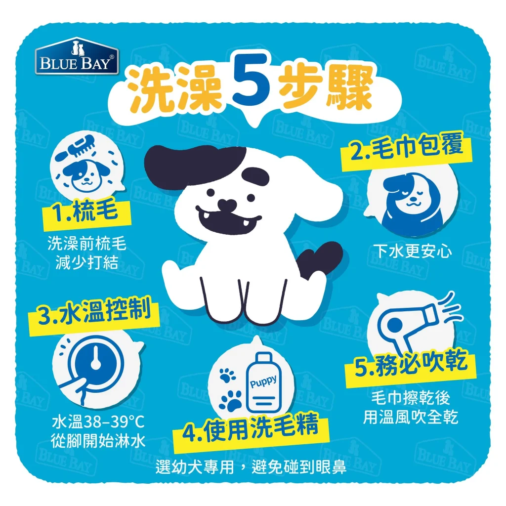 幼犬第一次洗澡超怕水?5步驟讓牠乖乖洗香香