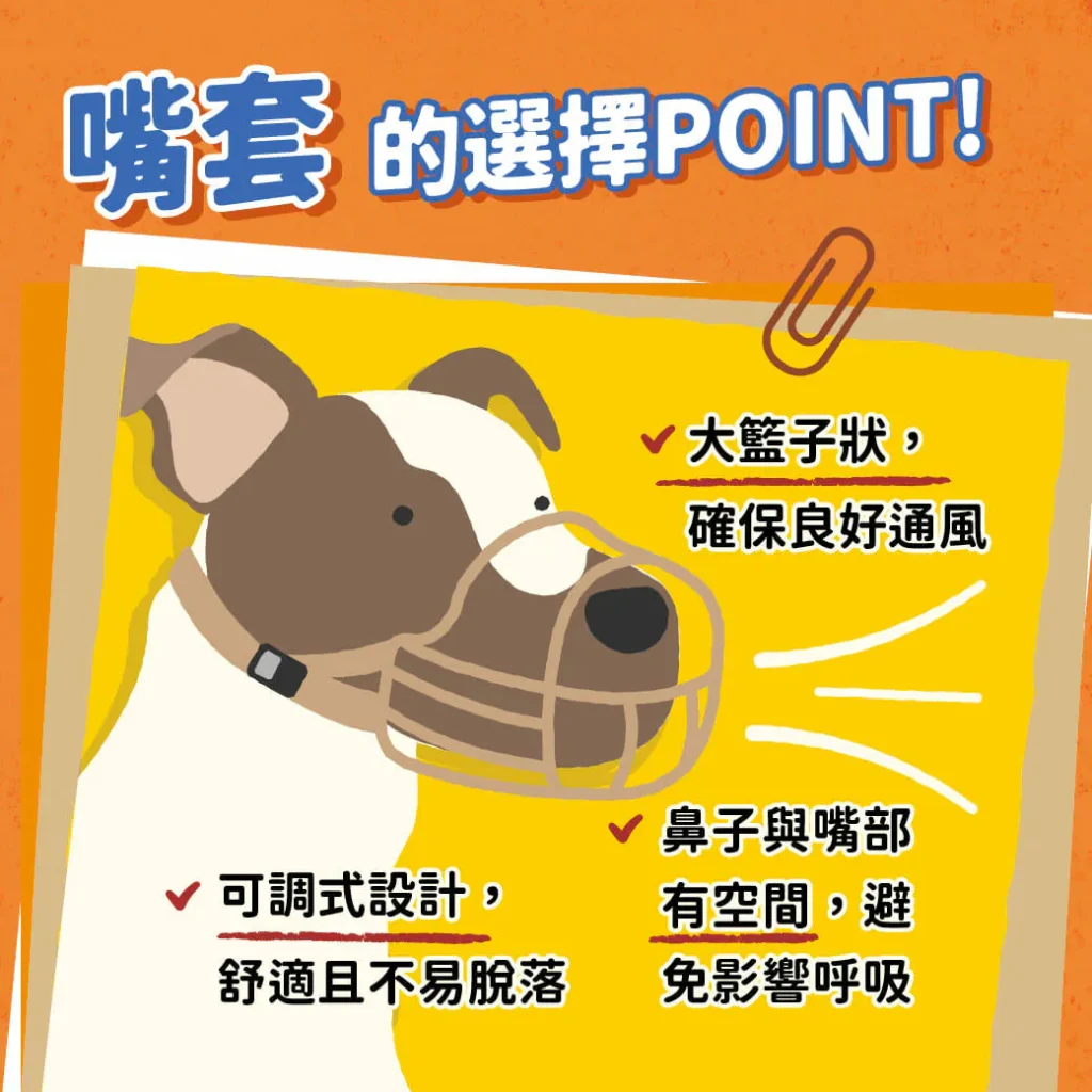 挑選正確的嘴套