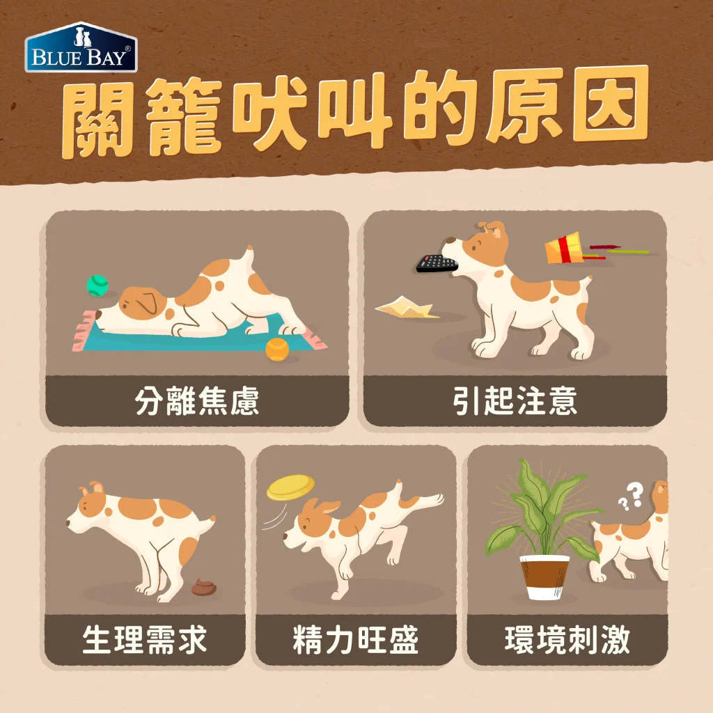 幼犬關籠