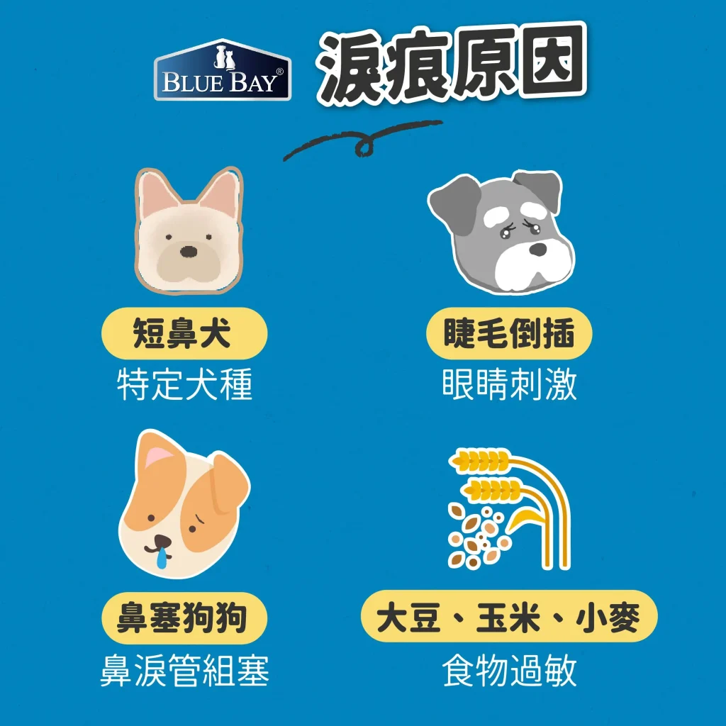 為什麼狗狗臉上一直濕濕的?