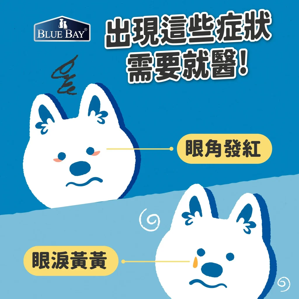 狗狗淚痕越來越嚴重?