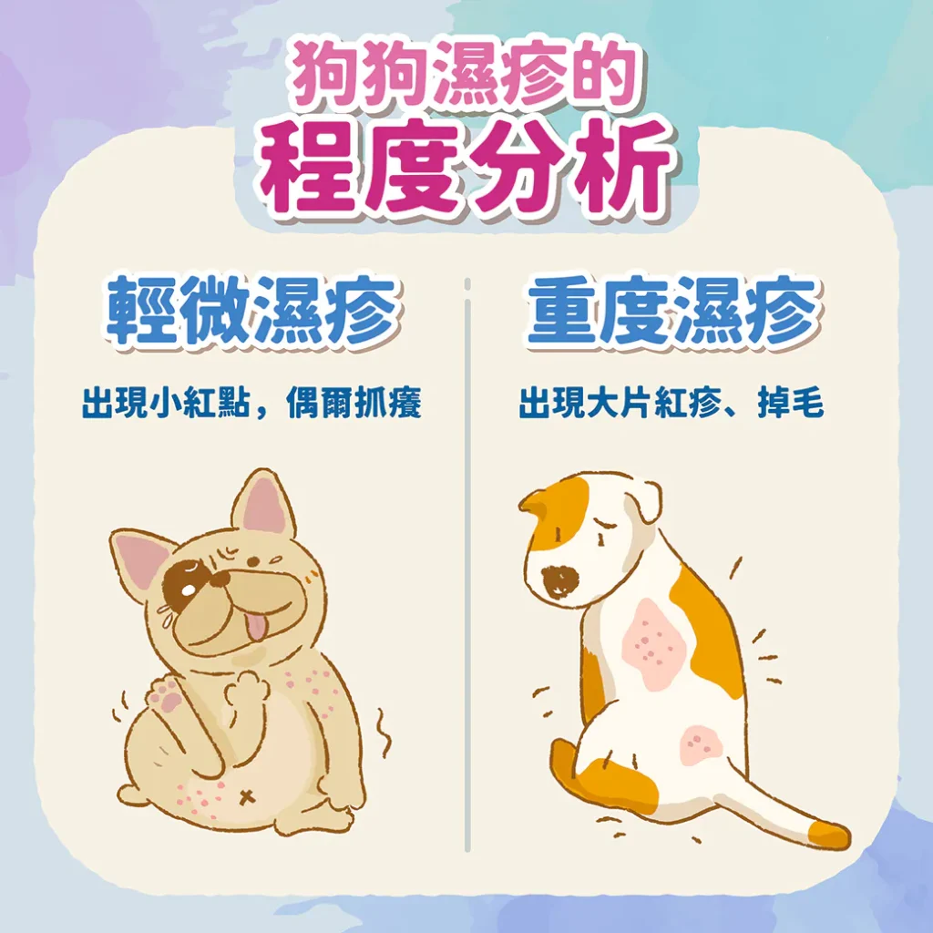 狗狗濕疹怎麼照顧才正確