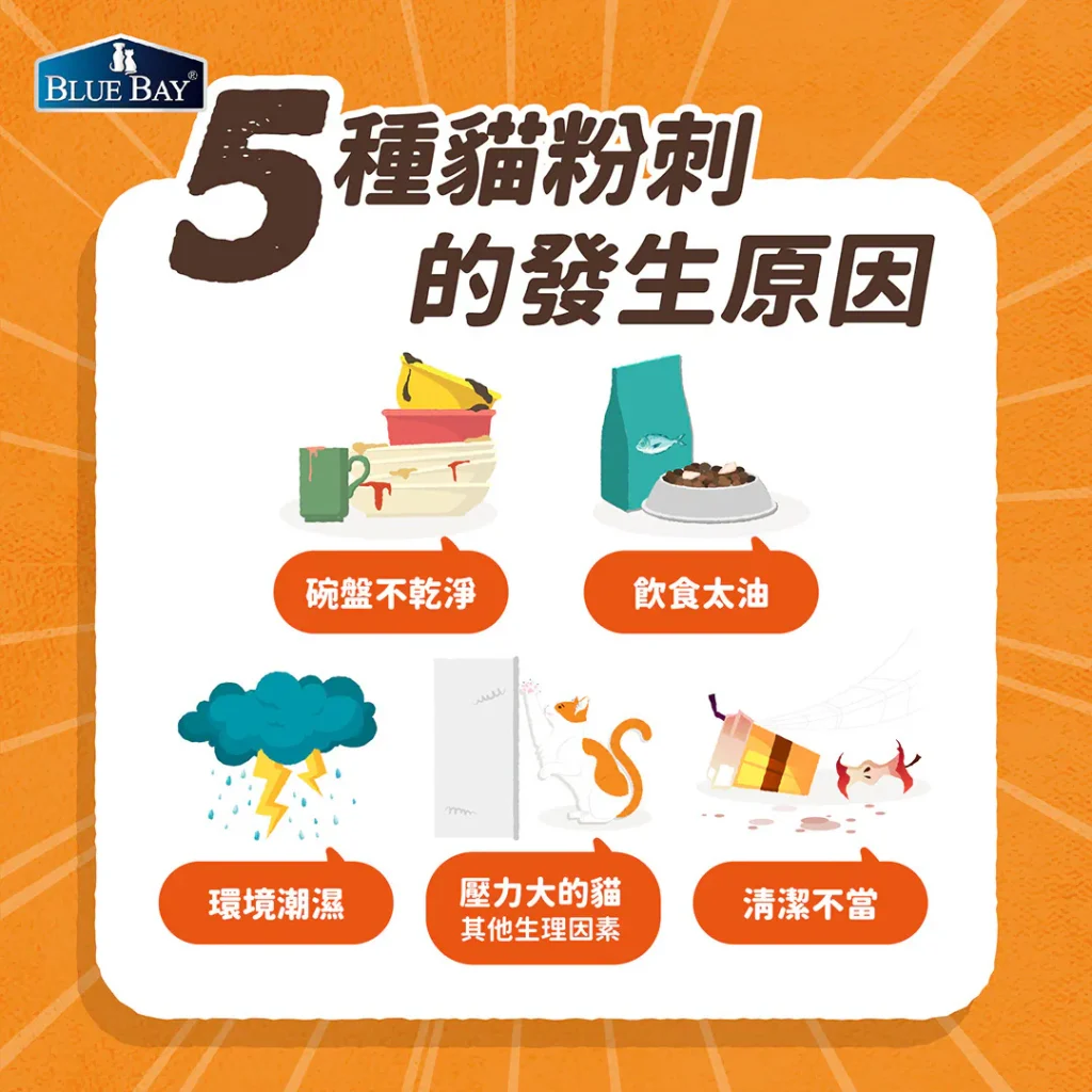 為什麼貓會長貓粉刺