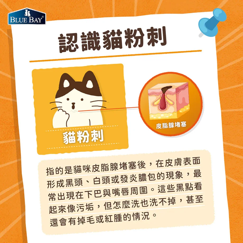 貓粉刺是什麼