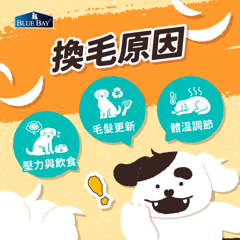 狗狗的換毛原因