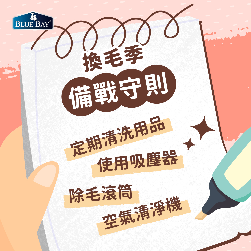 貓咪換毛季，貓咪換毛清理