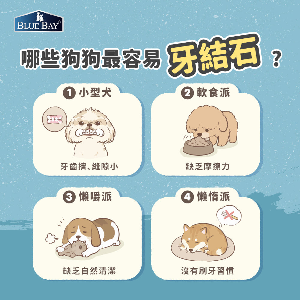 哪些狗狗最容易牙結石
