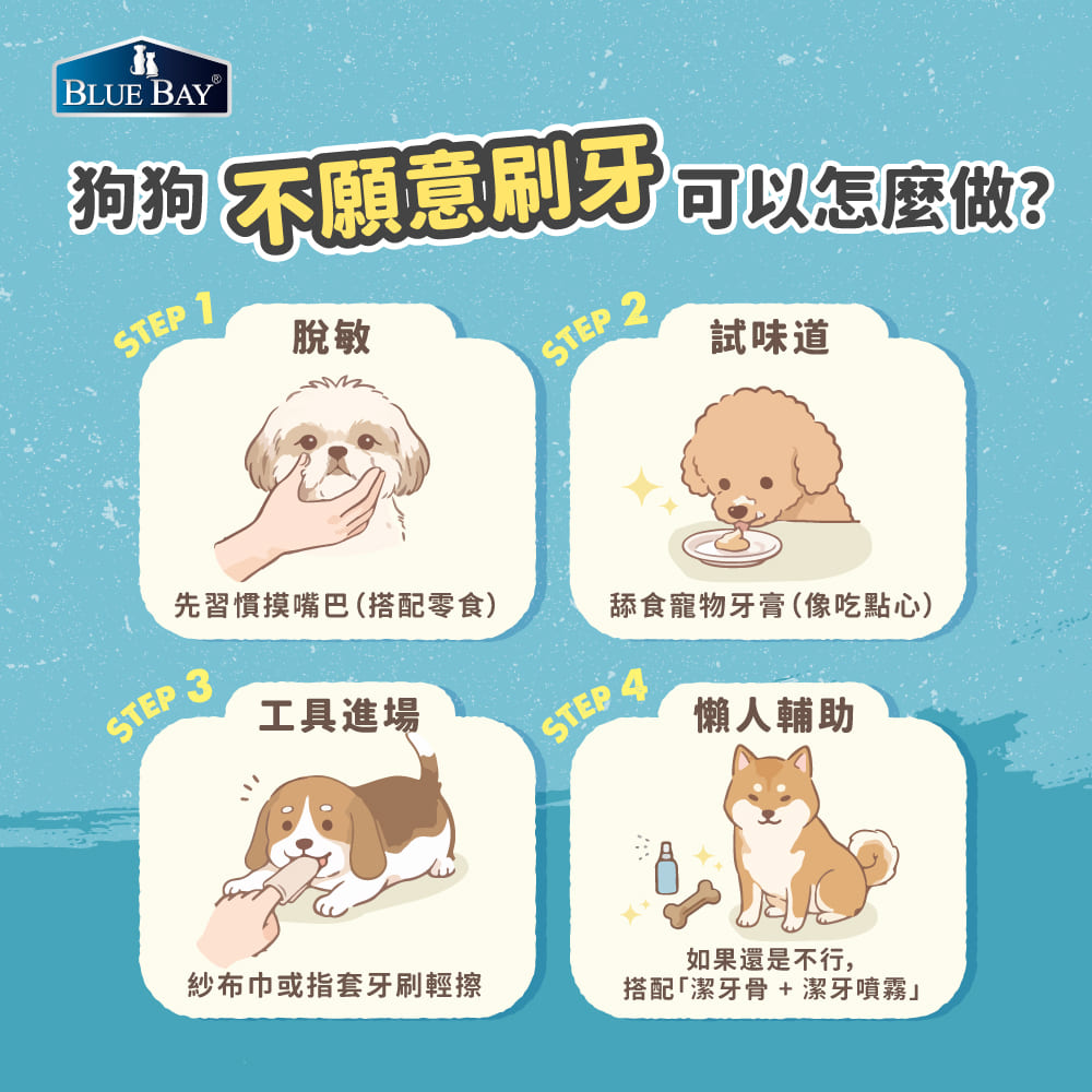 狗狗不願意刷牙,可以怎麼做?