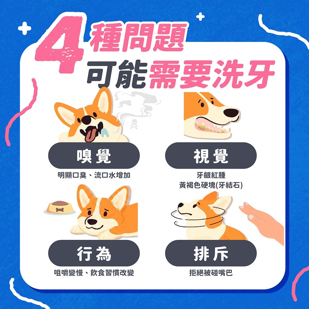 狗狗什麼情況需要洗牙?