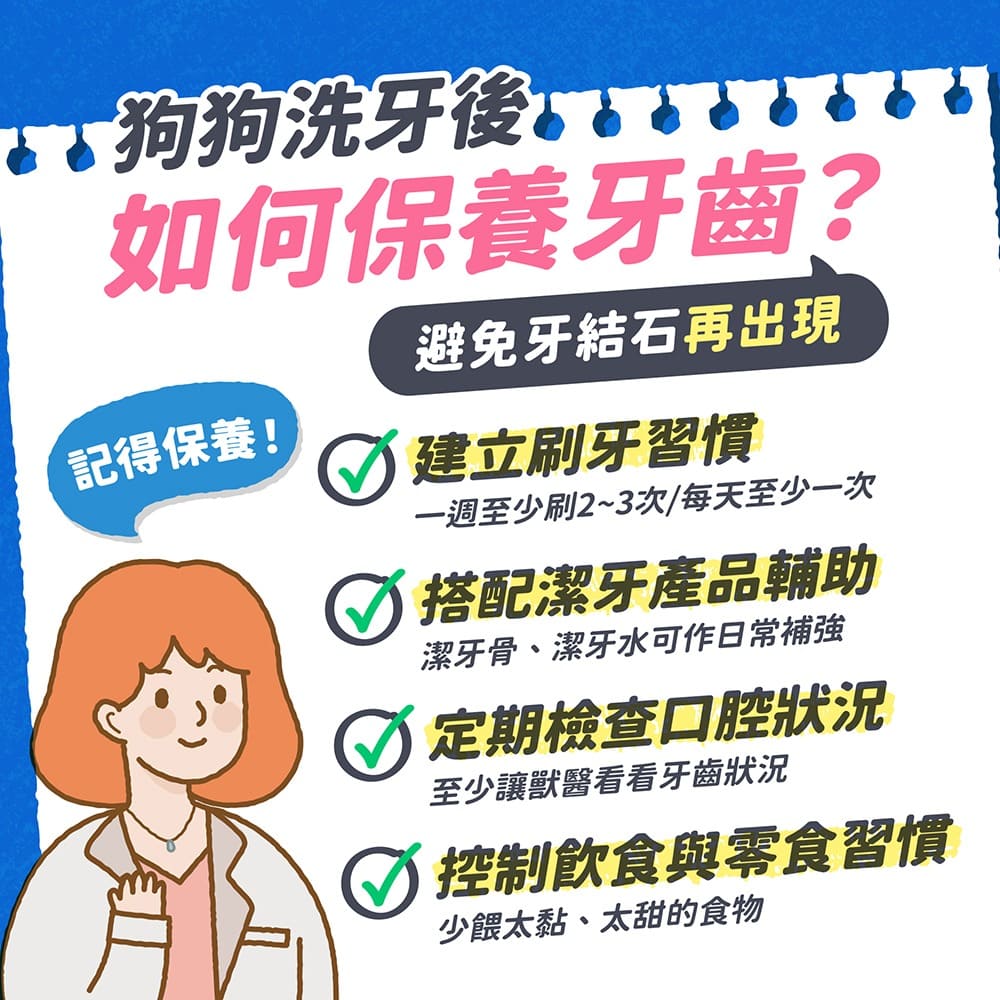 狗狗洗牙後如何保養牙齒?