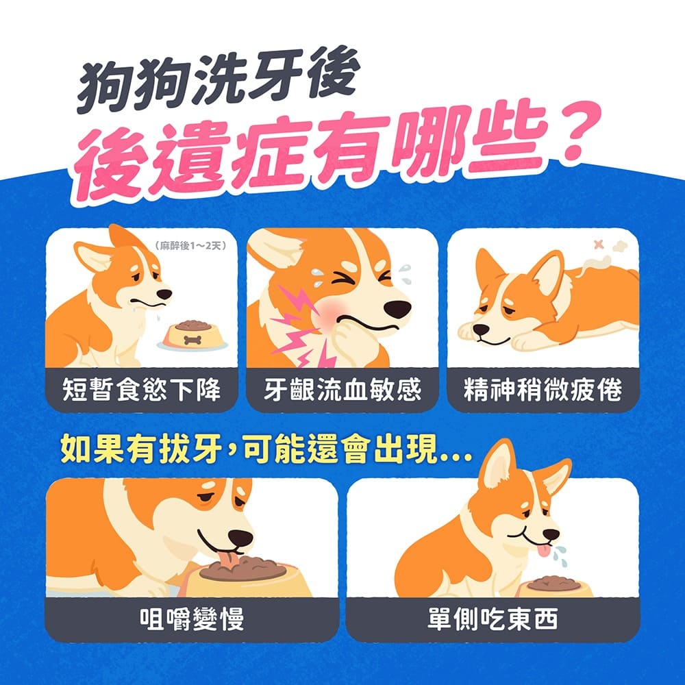 狗狗洗牙後遺症